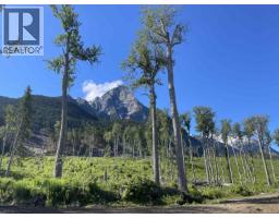 Dl 890 Pugsley Street, New Hazelton, BC V0J2J0 Photo 25
