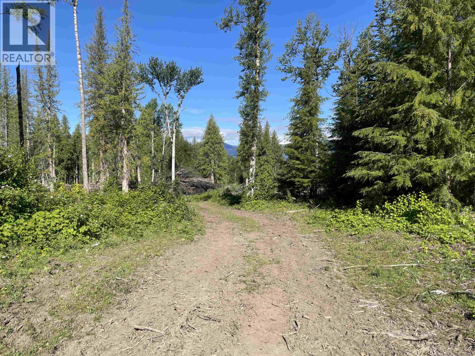 DL 890 PUGSLEY Street, New Hazelton