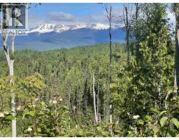 Dl 890 Pugsley Street, New Hazelton, BC V0J2J0 Photo 35