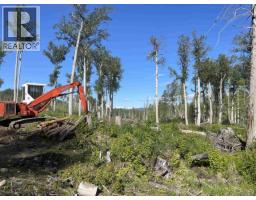 Dl 890 Pugsley Street, New Hazelton, BC V0J2J0 Photo 24