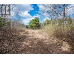 Lot 2021 Central Ave, Greenwood, NS B0P1N0 Photo 9