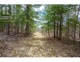 Lot 2021 Central Ave, Greenwood, NS B0P1N0 Photo 10