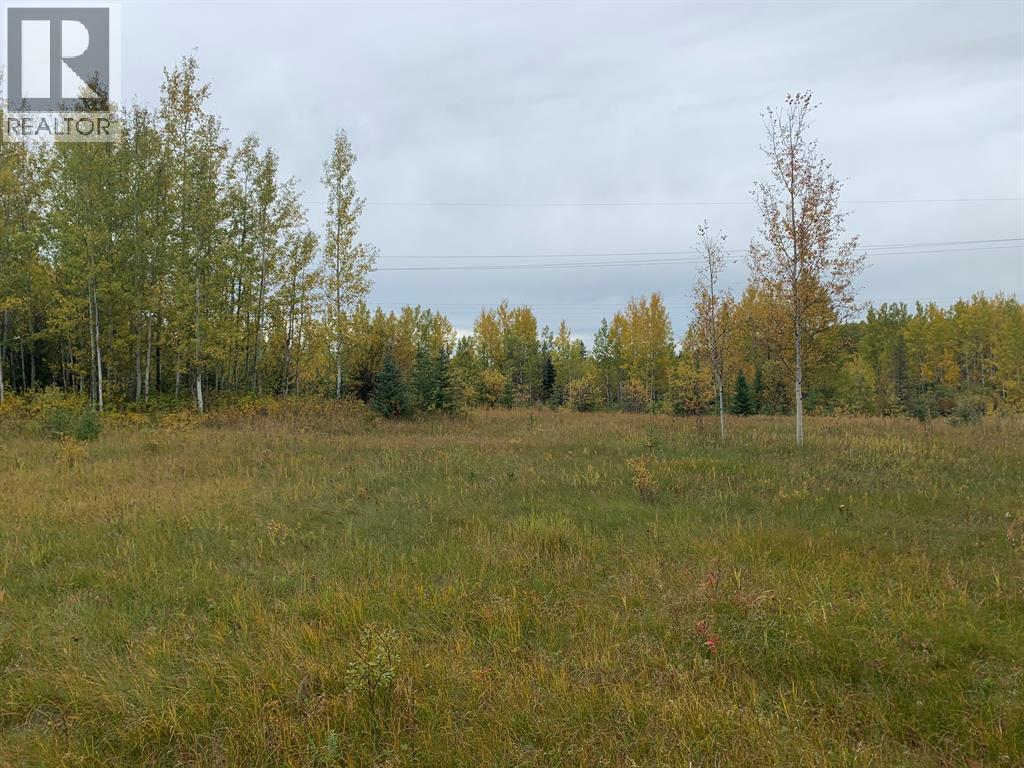 Highway 16 and Range Road 184 — photo 15