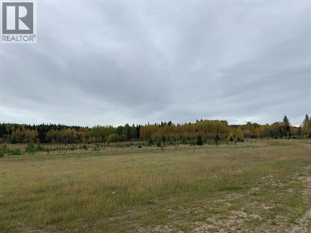 Highway 16 and Range Road 184 — photo 18