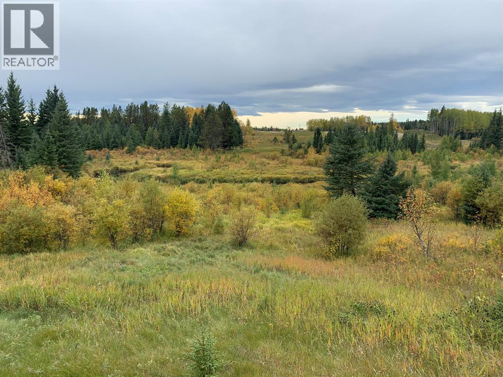 Highway 16 and Range Road 184 — photo 19