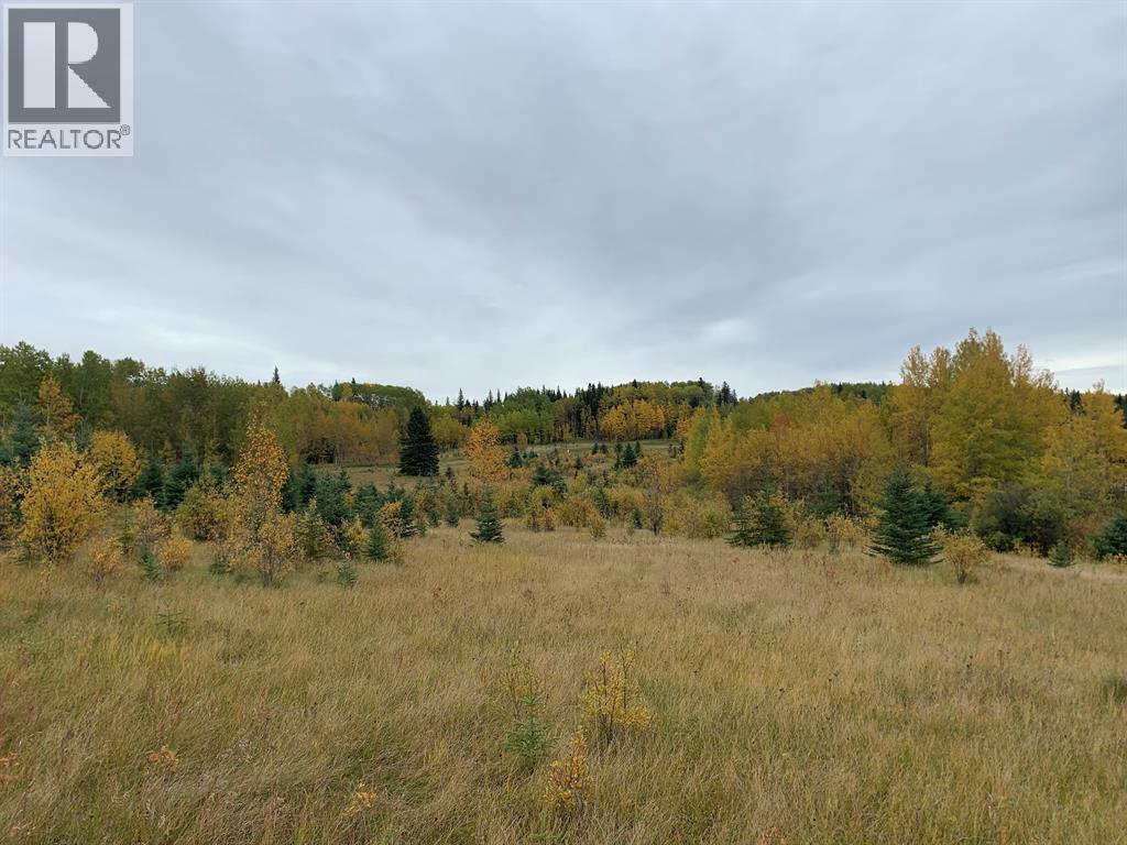 Highway 16 and Range Road 184 - photo 3