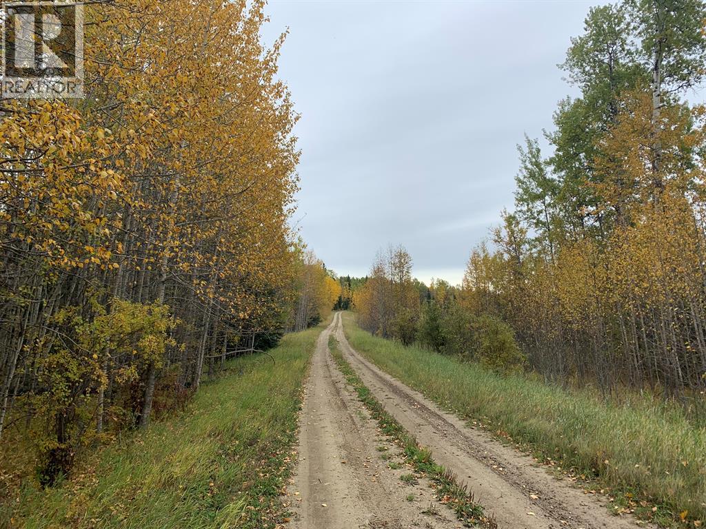 Highway 16 and Range Road 184 - photo 5
