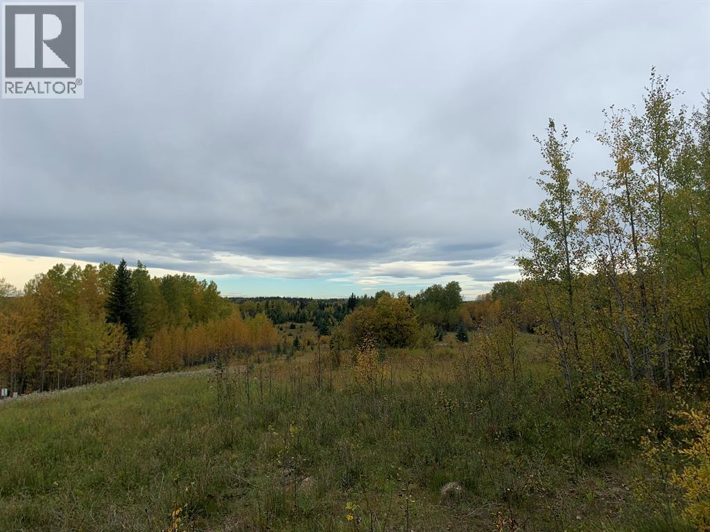 Highway 16 and Range Road 184 — photo 8