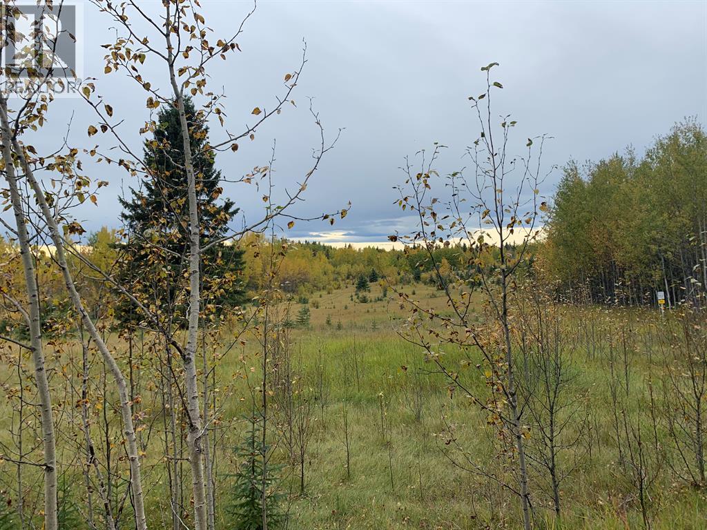 Highway 16 and Range Road 184 — photo 9
