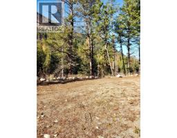 2955 33 Highway, Westbridge, BC V0H1Y0 Photo 29