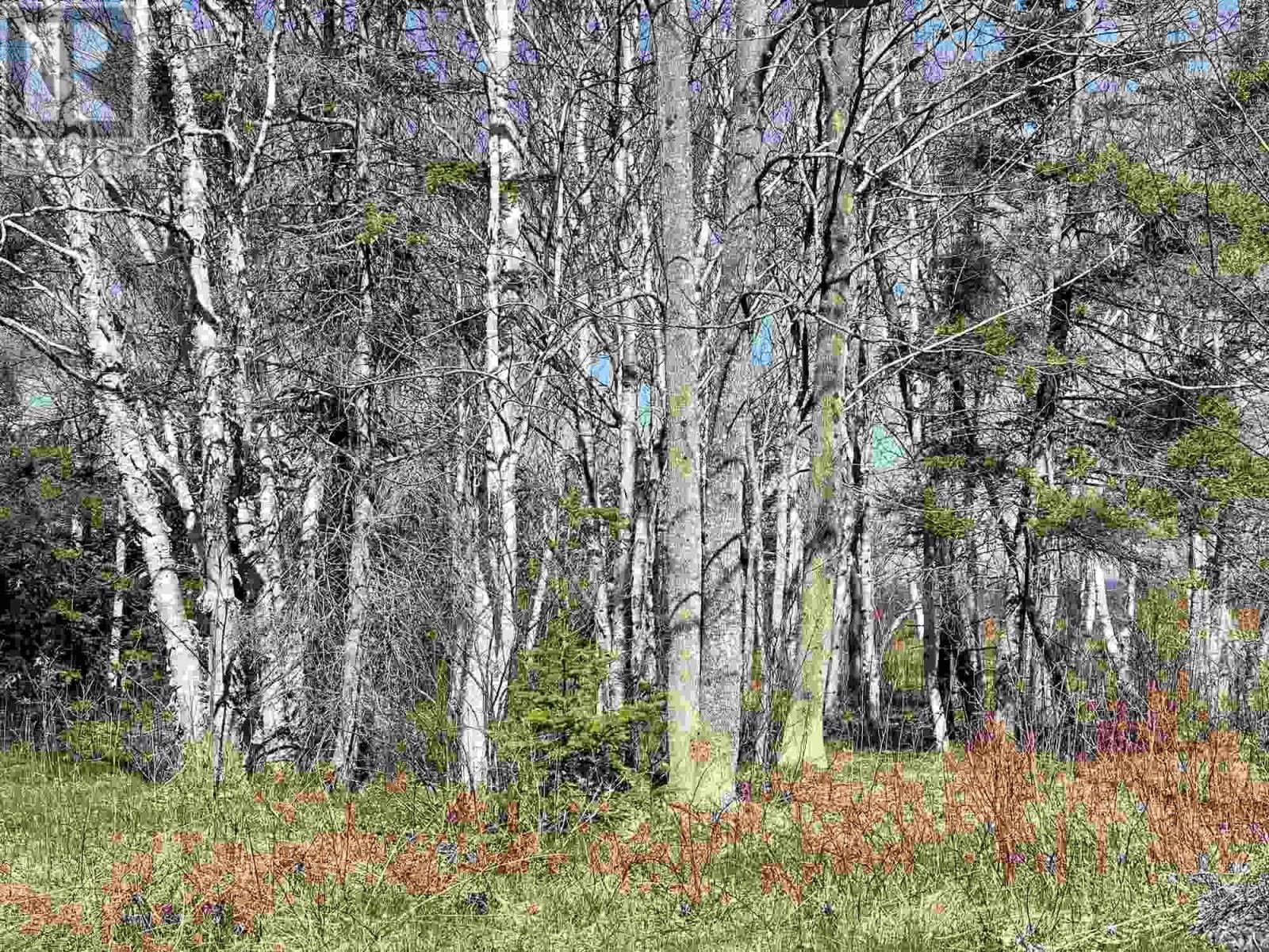 Lot 18 Millbrook Rise, Antigonish — photo 3