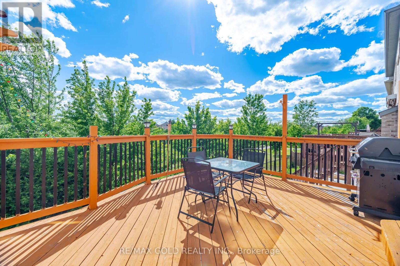 155 BELLCHASE TRAIL - 38