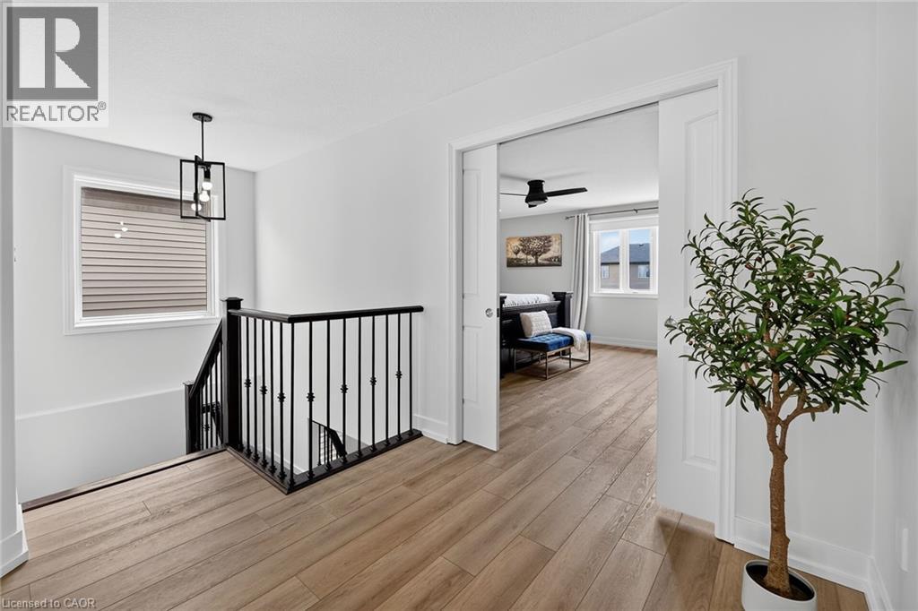 387 MURRAY Street - 19