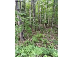 0 Pond Road, Tay Valley, ON K0H2B0 Photo 6