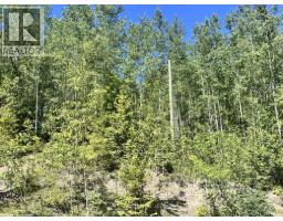 Lot 8 Purser Creek Road, Quesnel, BC V2J7C1 Photo 6