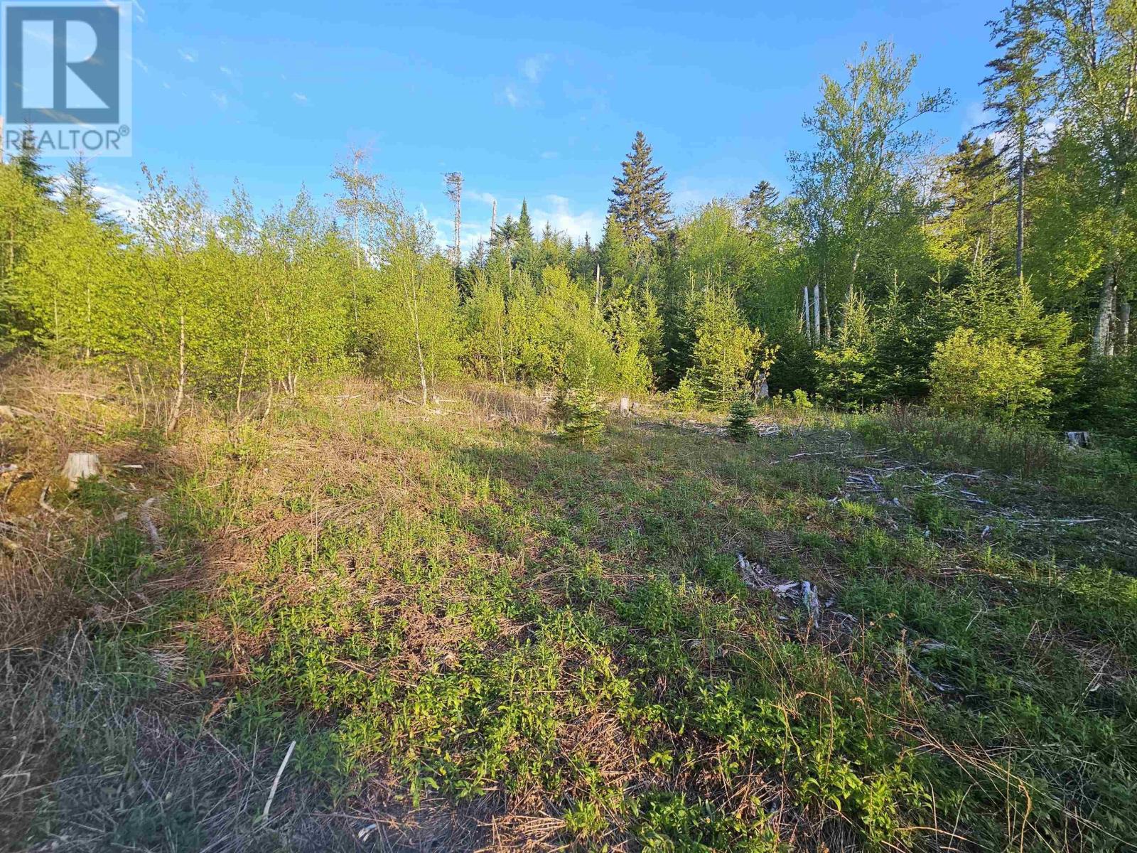 Property 13 of 18 of Lot Highway 336