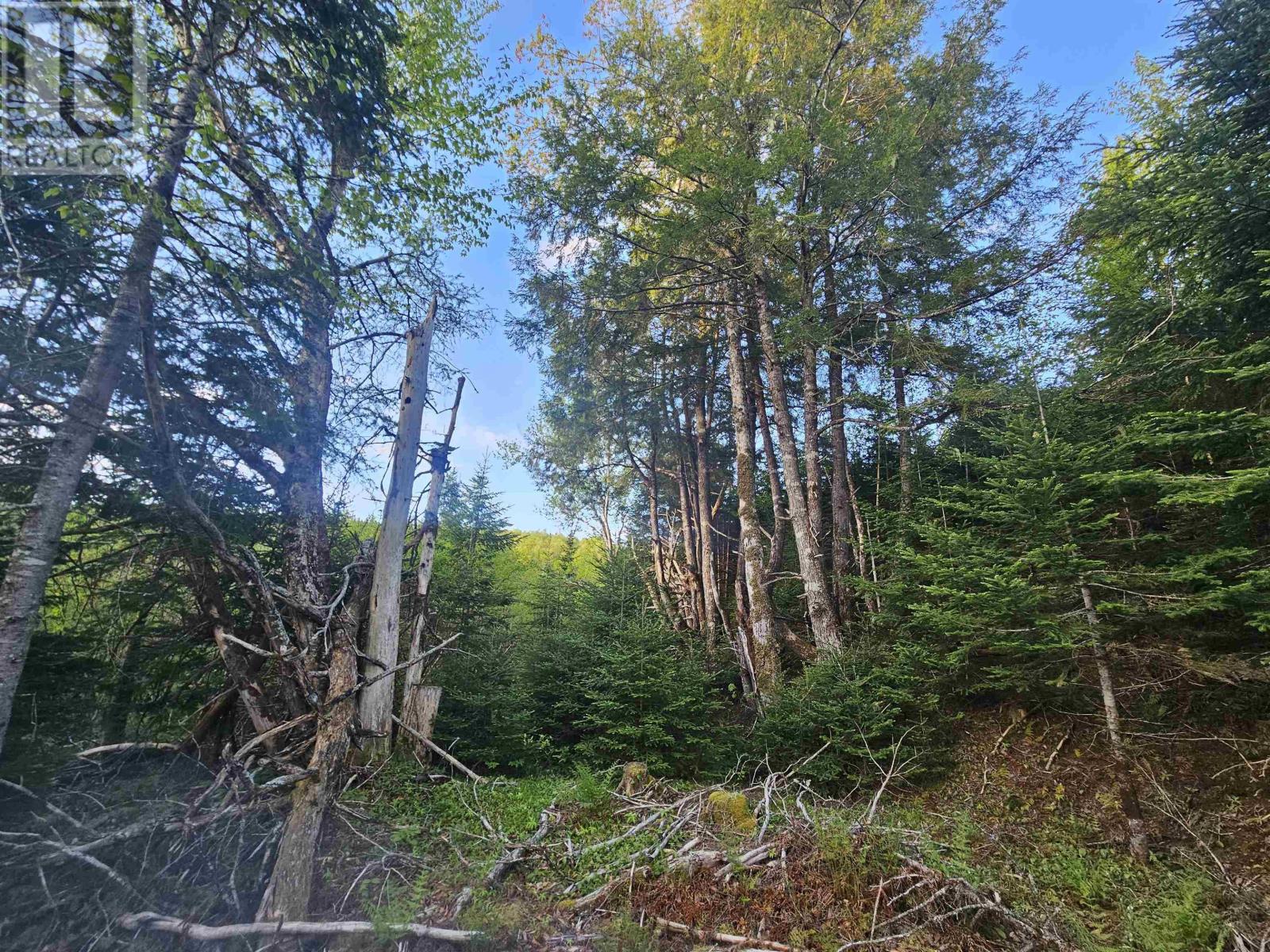 Property 4 of 18 of Lot Highway 336