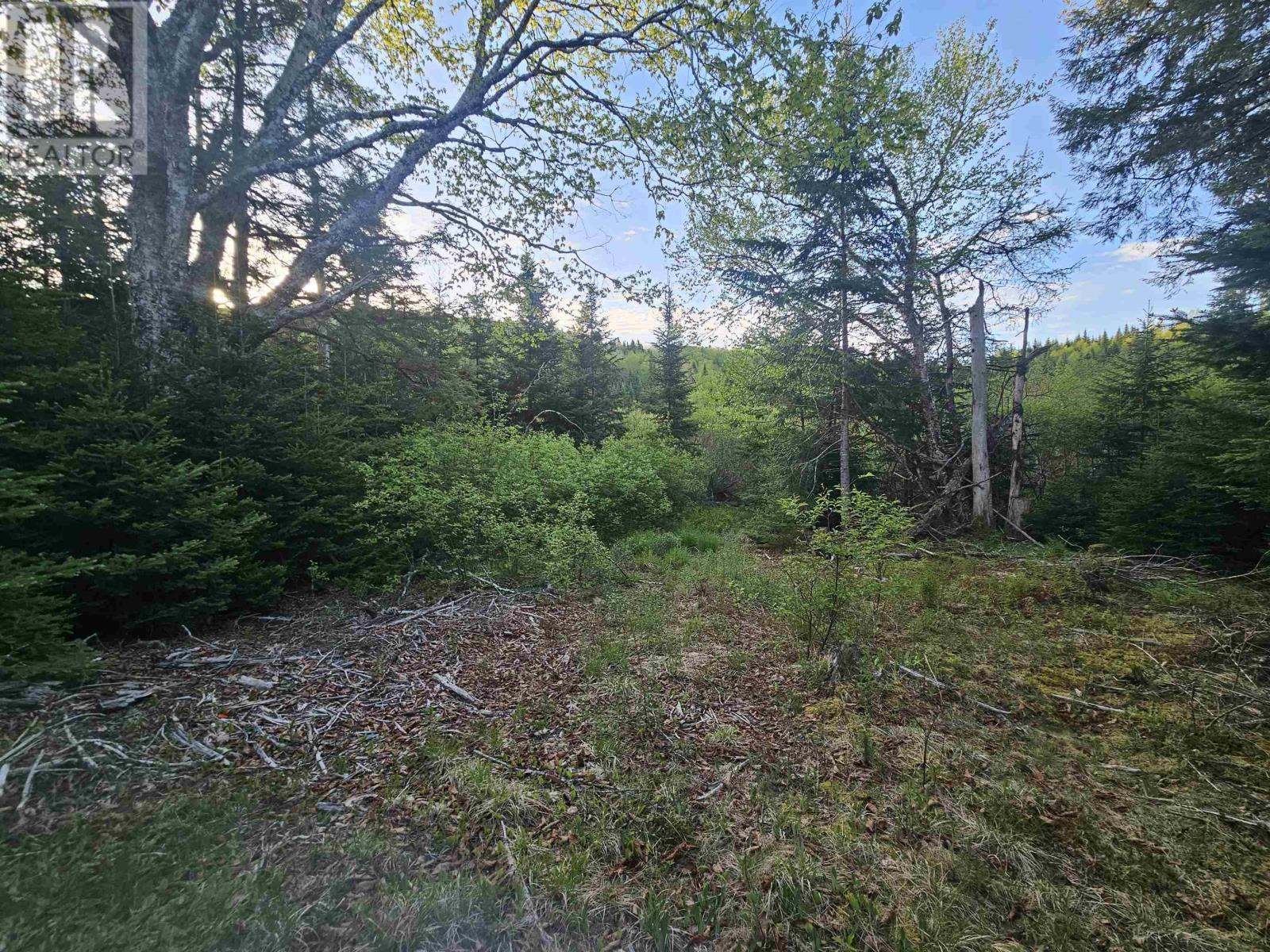 Property 7 of 18 of Lot Highway 336