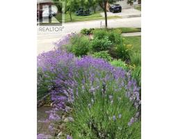 212 Sleaford Street, Waterloo, ON N2J4Z8 Photo 42
