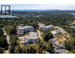 Ph52 2829 Arbutus Rd, Saanich, BC V8N5X5 Photo 59