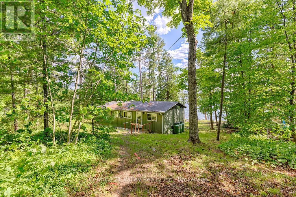 161 MAPLE GROVE LANE - 6