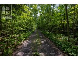 471 North Shore Rd Road, Georgian Bay, ON L0K1S0 Photo 10