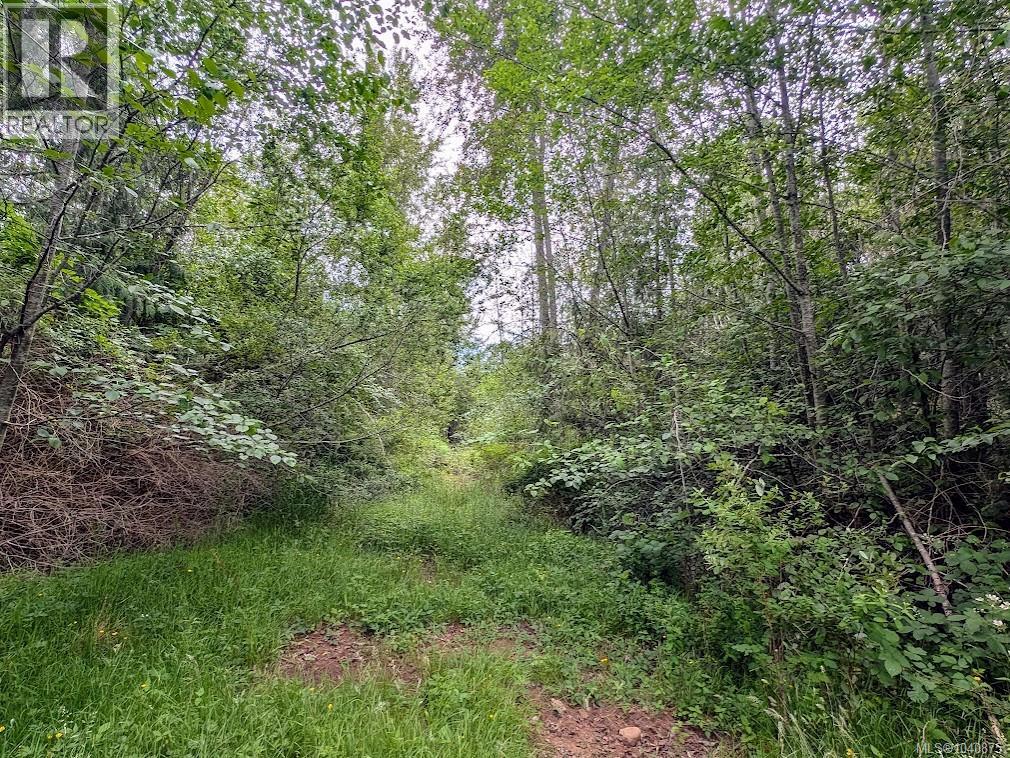 1476 Ruffels Rd - 38