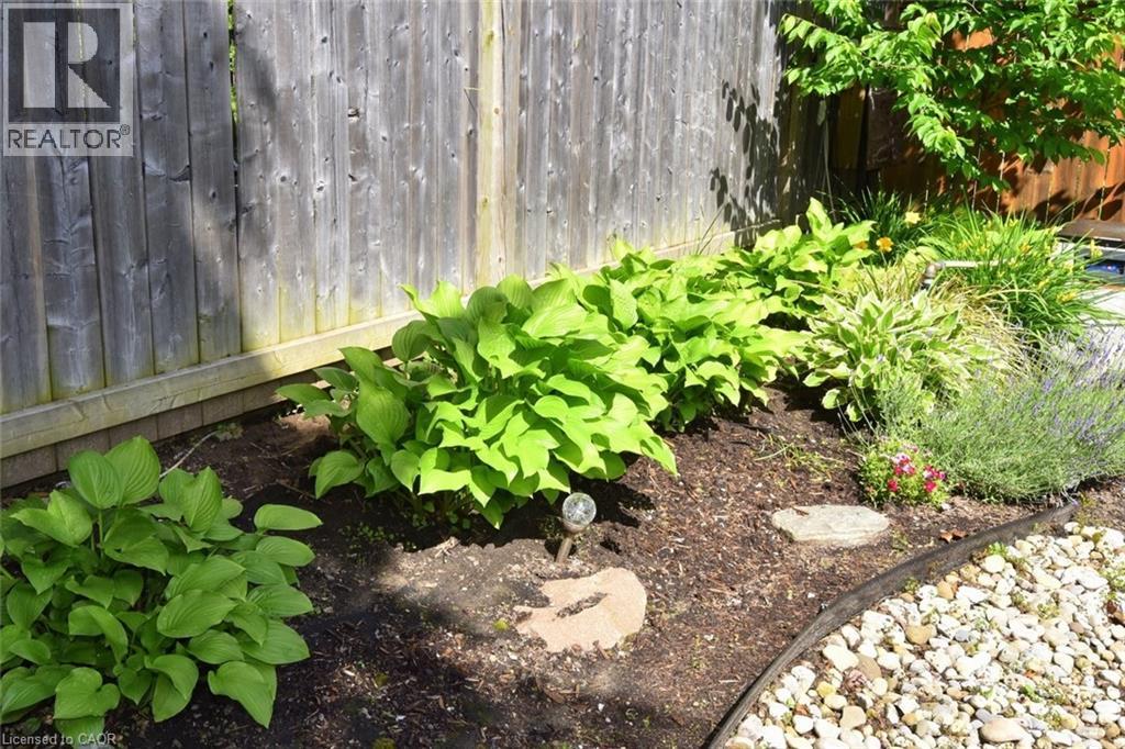 Thumbnail 33