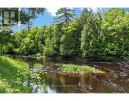 7510 Martinelli Road, Ramara, ON L0K2B0 Photo 26