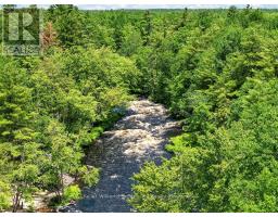 7510 Martinelli Road, Ramara, ON L0K2B0 Photo 29