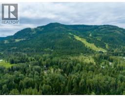 113 Motel Avenue, Salmo, BC V0G1Z0 Photo 9