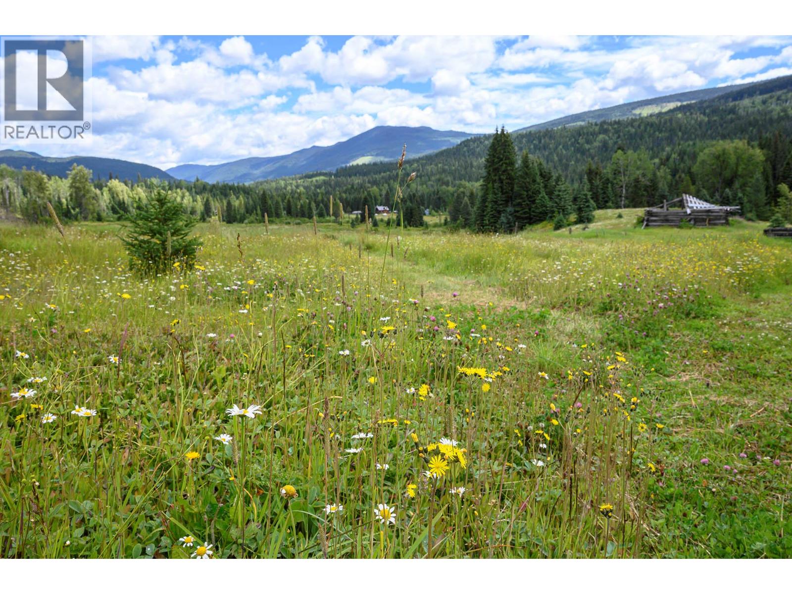3881 Mad River Forest Service Road - 93