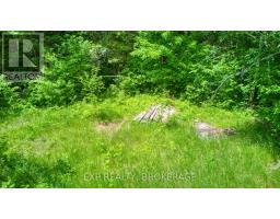 1142a Point Lane, Frontenac, ON K0H2P0 Photo 17