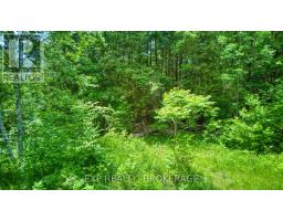 1142a Point Lane, Frontenac, ON K0H2P0 Photo 18