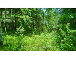 1142a Point Lane, Frontenac, ON K0H2P0 Photo 19