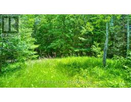 1142a Point Lane, Frontenac, ON K0H2P0 Photo 20