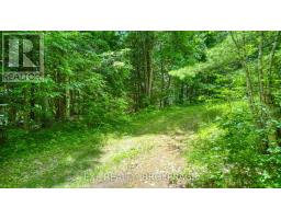 1142a Point Lane, Frontenac, ON K0H2P0 Photo 22