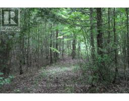 Pt Lt 15 Con 13 Concession 14 Road, Georgian Bluffs, ON N0H1P0 Photo 14