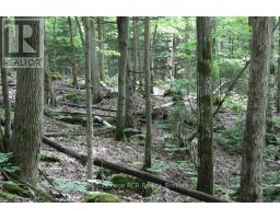Pt Lt 15 Con 13 Concession 14 Road, Georgian Bluffs, ON N0H1P0 Photo 6