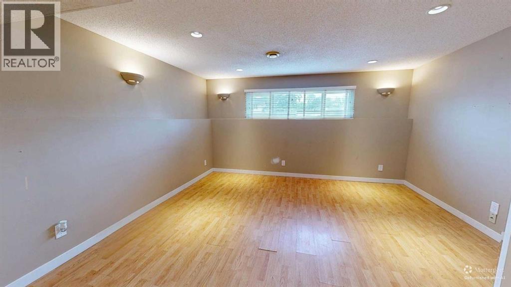 Basement Living Room