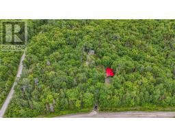 0 Moose Lake & Fox Lake Road, Massey, ON P0P1P0 Photo 9