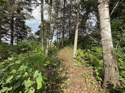 8 Bella Dan Avenue, Victoria Beach, MB R0E2C0 Photo 44