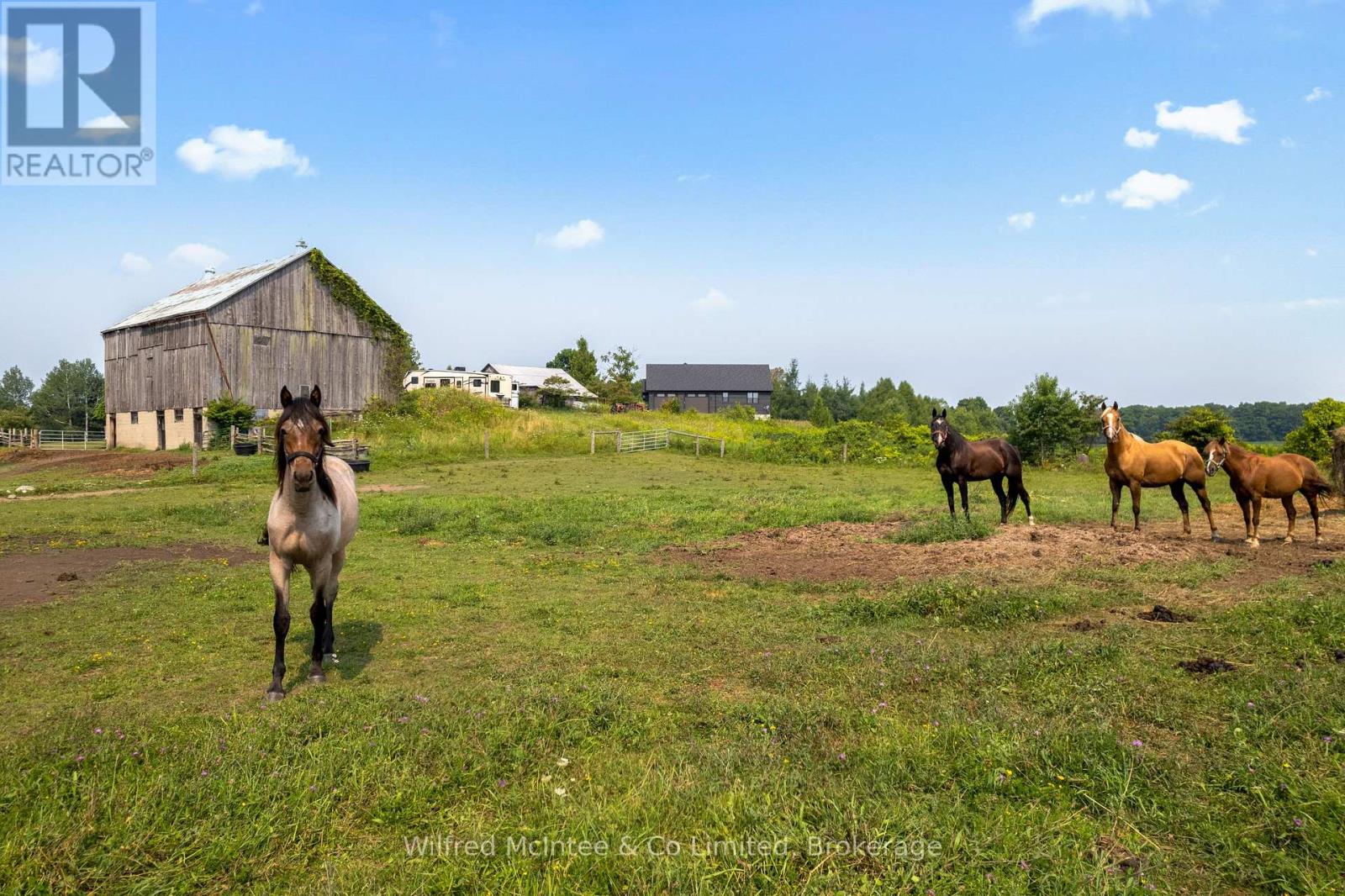 574461 SIDEROAD 40 - 2