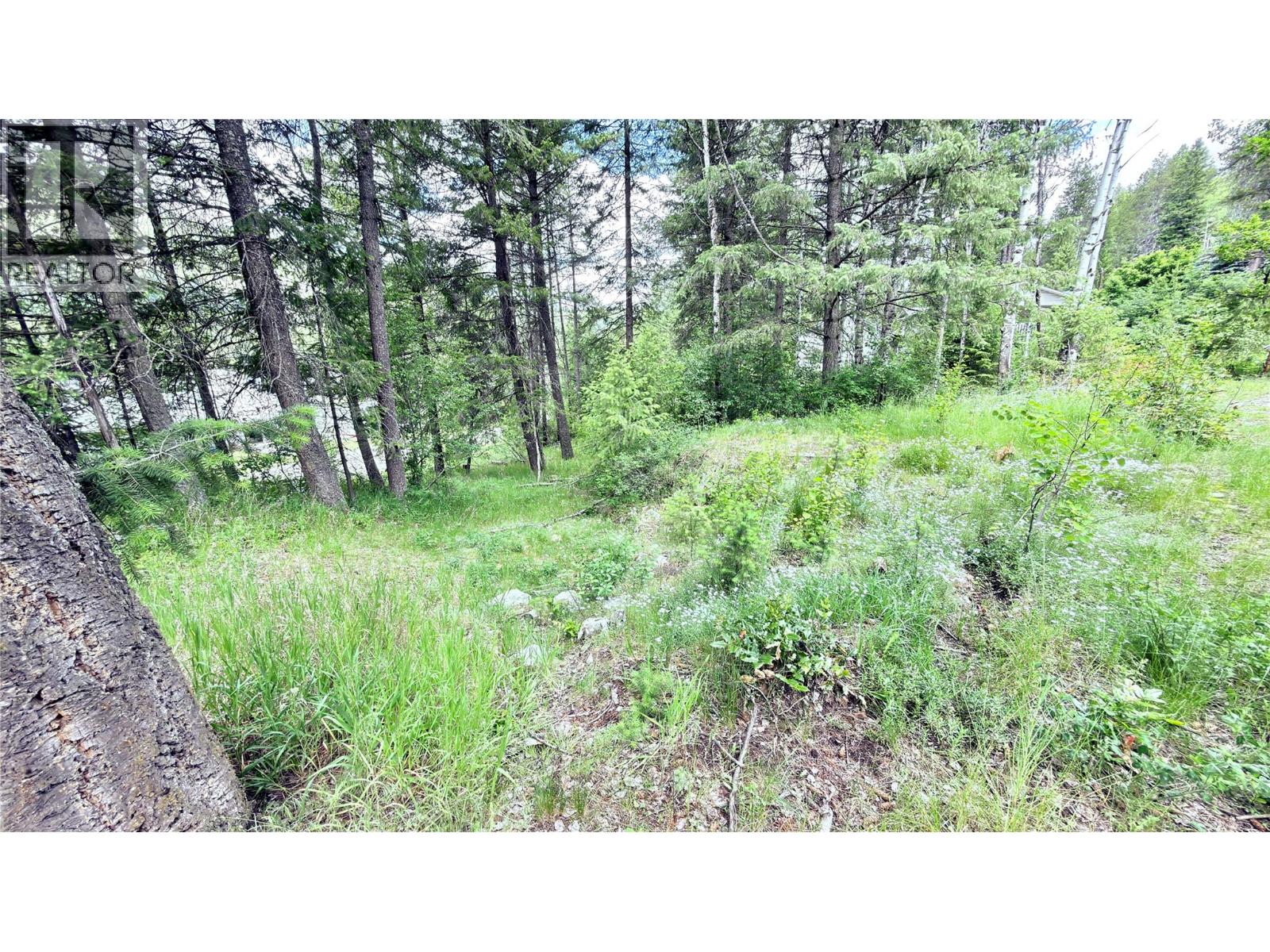550 Strathmore Avenue - 12