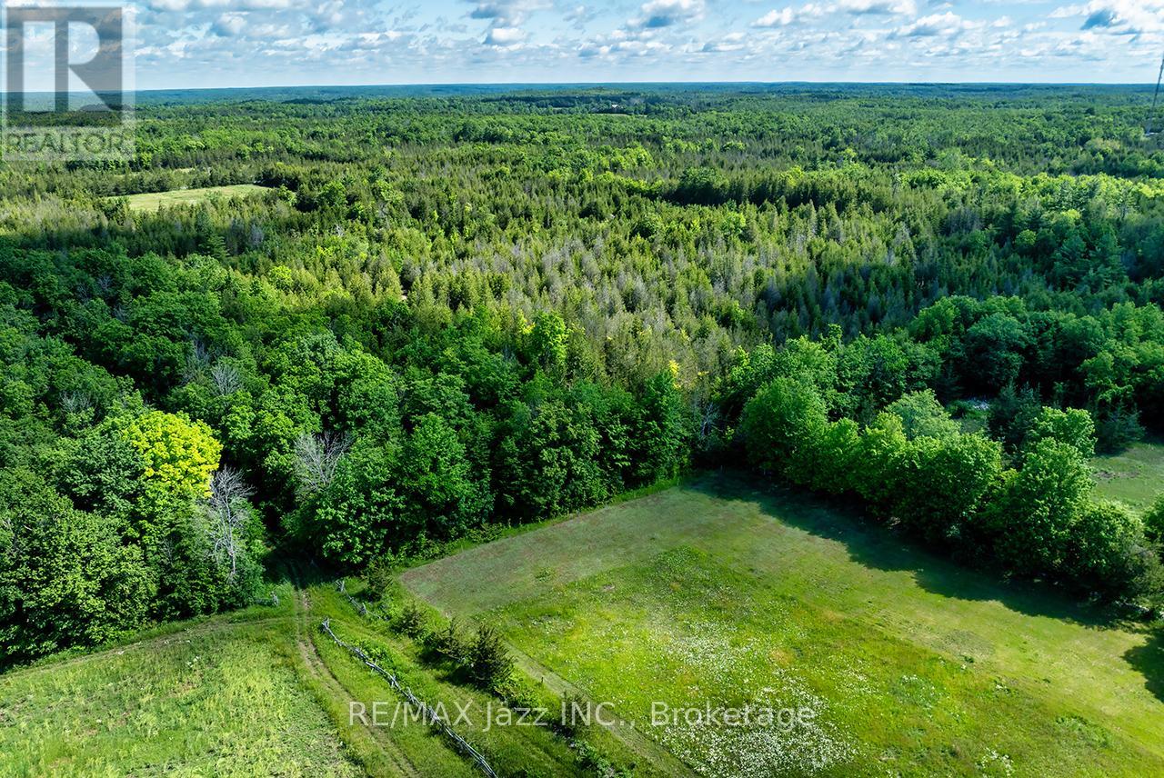641 ENRIGHT ROAD - 49