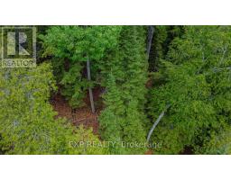 B Lot Arbor Vitae Road, Madawaska Valley, ON K0J1B0 Photo 10