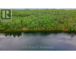 B Lot Arbor Vitae Road, Madawaska Valley, ON K0J1B0 Photo 12