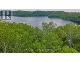 B Lot Arbor Vitae Road, Madawaska Valley, ON K0J1B0 Photo 13