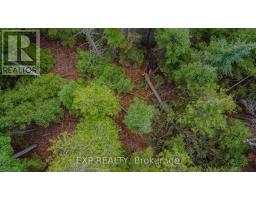 B Lot Arbor Vitae Road, Madawaska Valley, ON K0J1B0 Photo 14