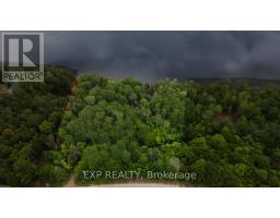 B Lot Arbor Vitae Road, Madawaska Valley, ON K0J1B0 Photo 15